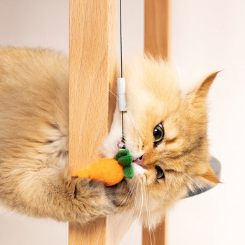 Ηλεκτρικό παιχνίδι καλάμι ψαρέματος για γάτες