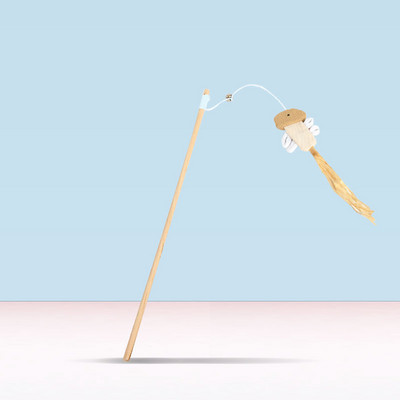 Diferite modele de undiță tip jucărie pentru pisici