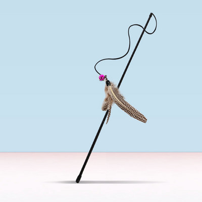 Diferite modele de undiță tip jucărie pentru pisici