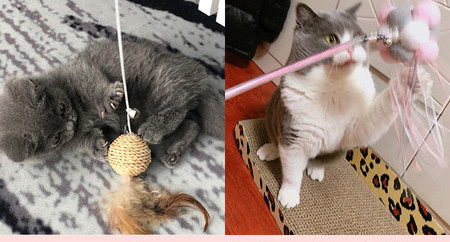 Diferite modele de undiță tip jucărie pentru pisici