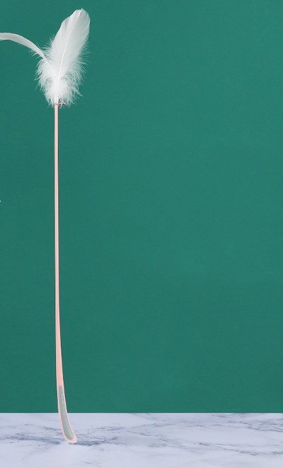 Kassi mänguasi sulgedega - õngeritva tüüpi