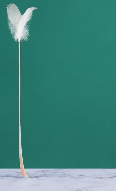 Kassi mänguasi sulgedega - õngeritva tüüpi