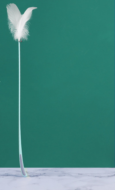 Kassi mänguasi sulgedega - õngeritva tüüpi