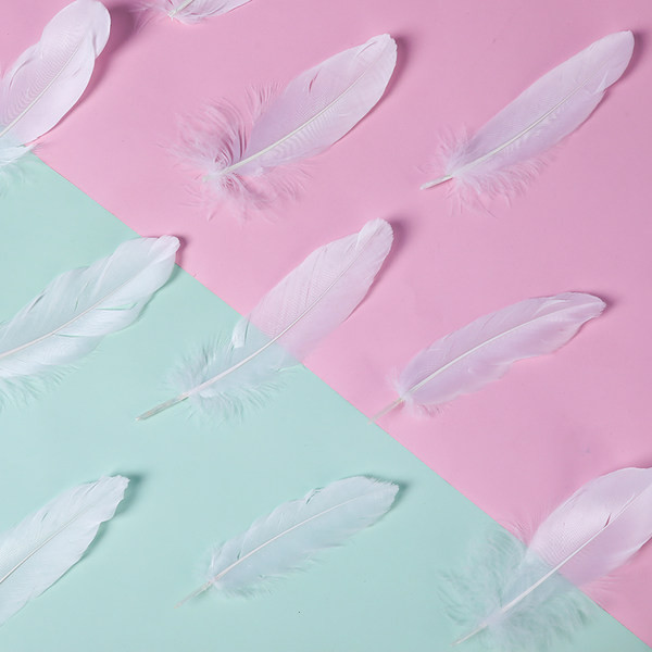 Kassi mänguasi sulgedega - õngeritva tüüpi