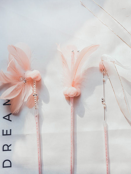 Kassi mänguasi sulgedega - 1 või 3 tükki