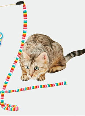 Šarena igračka za mačke sa zvonom