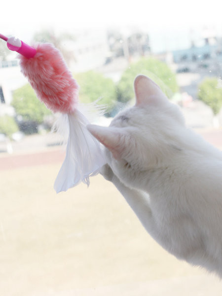 Jucărie cu pandantiv pentru pisică