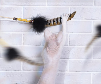Ξύλινο παιχνίδι με φτερά για γάτες τύπου καλάμι