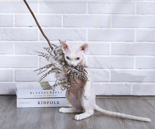 Drvena igračka s perjem za mačke tipa štap za pecanje