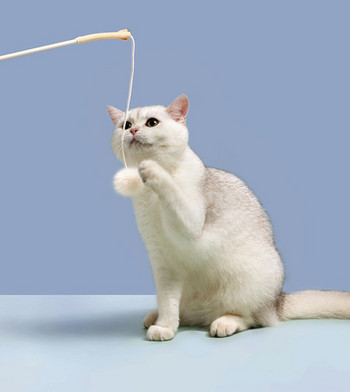 Παιχνίδι καλάμι ψαρέματος για γάτες