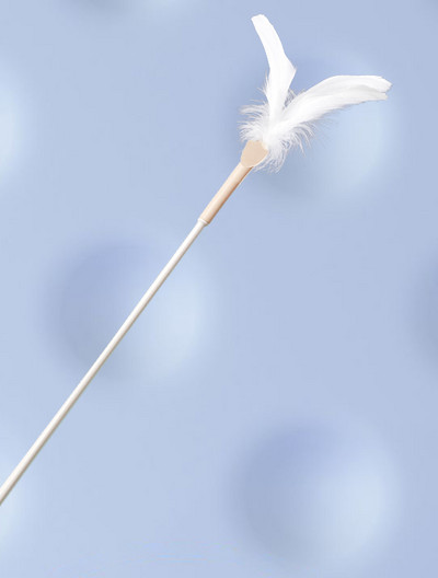 Mänguõng kassidele