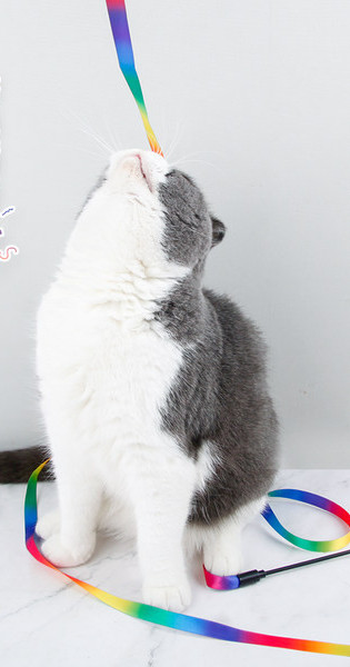 Rotaļlieta kaķim ar garu lentu tipa makšķeri