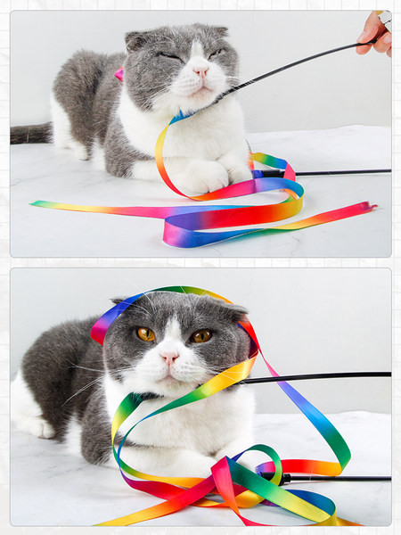 Rotaļlieta kaķim ar garu lentu tipa makšķeri