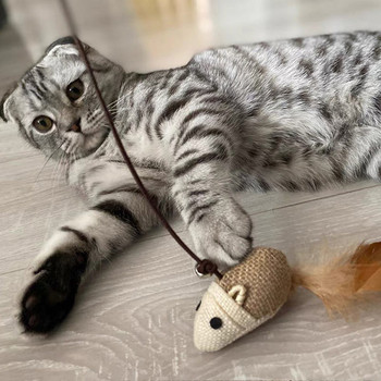 Παιχνίδι καλάμι ψαρέματος για γάτες - διαφορετικά μοντέλα