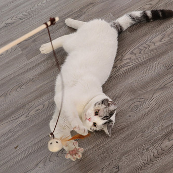 Παιχνίδι καλάμι ψαρέματος για γάτες - διαφορετικά μοντέλα
