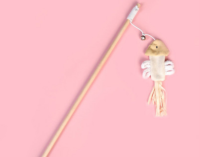 Παιχνίδι καλάμι ψαρέματος για γάτες - διαφορετικά μοντέλα