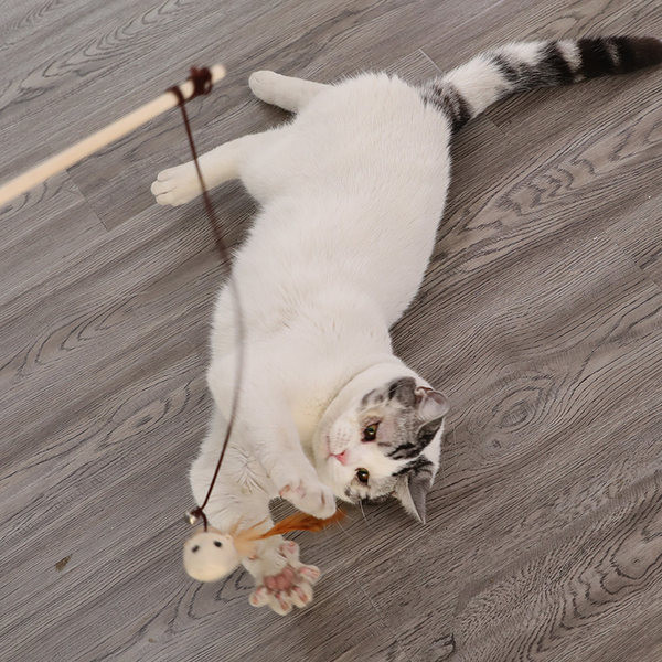 Παιχνίδι καλάμι ψαρέματος για γάτες - διαφορετικά μοντέλα