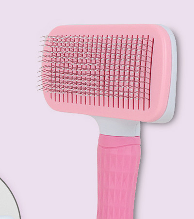 Perie de îngrijire zilnică - mai multe modele