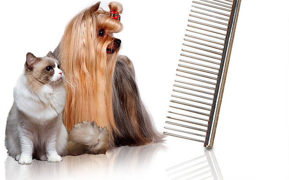 Metallist lõikuritega kamm kassidele