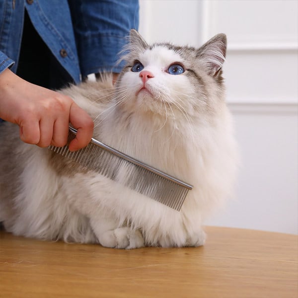 Metallist lõikuritega kamm kassidele