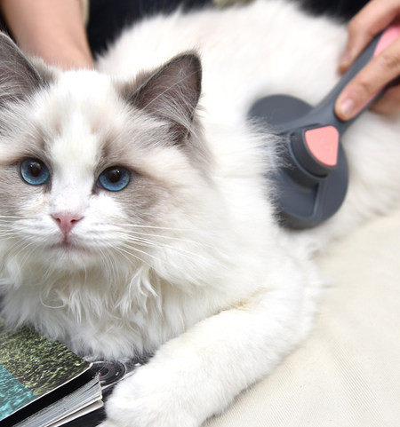 Četka za mačke - više modela