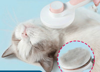 Perie pentru pisici cu cap rotund