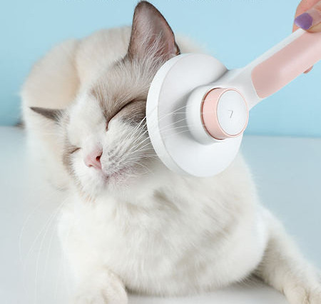 Perie pentru pisici cu cap rotund