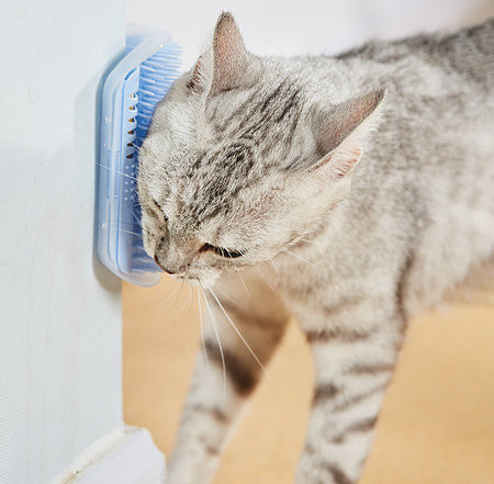 Βούρτσα για τοποθέτηση επίπλων κατάλληλη για ξύσιμο κατοικίδιων