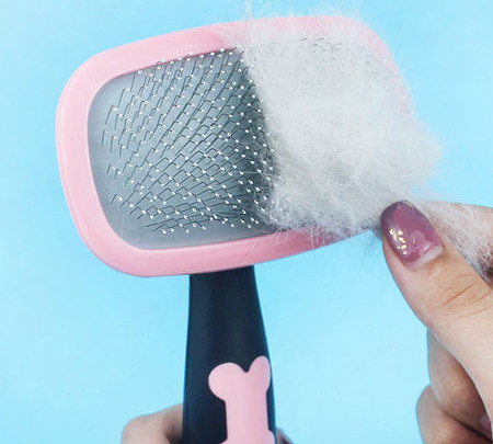 Βούρτσα για να αφαιρέσετε τις νεκρές τρίχες της γάτας