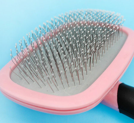 Βούρτσα για να αφαιρέσετε τις νεκρές τρίχες της γάτας