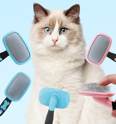 Βούρτσα για να αφαιρέσετε τις νεκρές τρίχες της γάτας