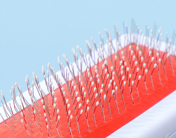 Pieptene pentru pieptănarea pisicilor