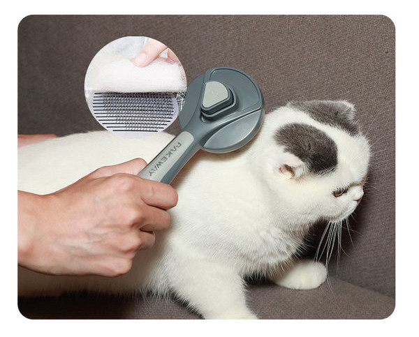 Birstīte ķemmēšanai - vairāki modeļi