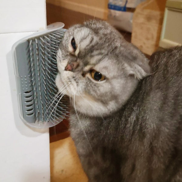 Perie de coltar din silicon pentru montare pe mobila