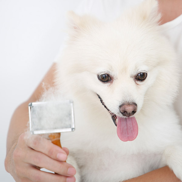 Perie cu maner din lemn - pentru o pisica