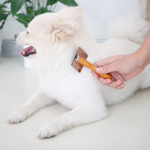 Perie cu maner din lemn - pentru o pisica