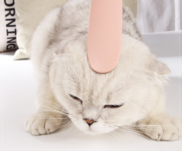 Pieptene pentru pisici în roz și gri