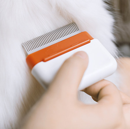 Maza pārnēsājama ķemme kaķiem