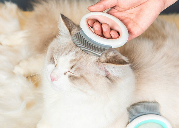 Kassi käepidemega karvaeemalduskamm