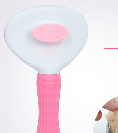 Pintsel kassidele - mitu mudelit