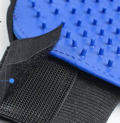 Vannikinnas - kassidele