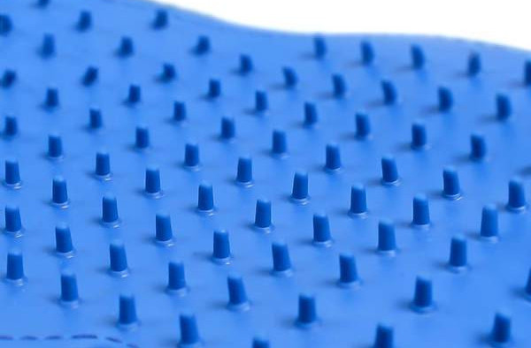 Vannikinnas - kassidele