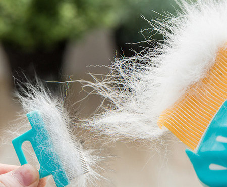 Pieptene pentru pieptănarea pisicilor cu mâner