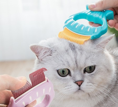 Pieptene pentru pieptănarea pisicilor cu mâner