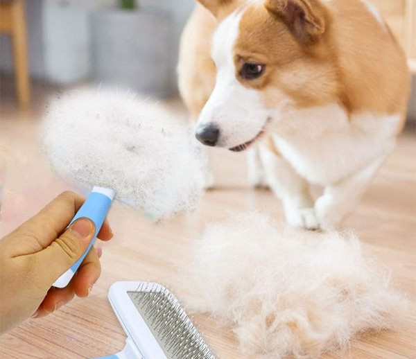 Plastična četka za češljanje mačaka - različiti modeli