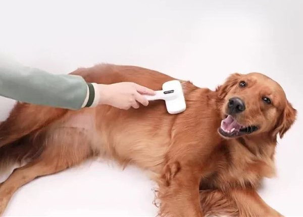 Pieptene de masaj pentru pisici