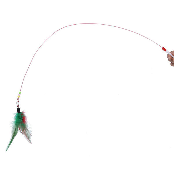 Kassi õngeritva mänguasi