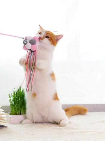 Καλάμι ψαρέματος τύπου παιχνίδι γάτας