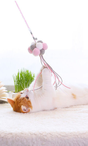 Undița de pescuit tip jucărie pentru pisici