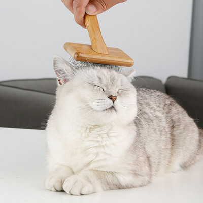 Perie pentru pisici cu buton pentru curatare usoara